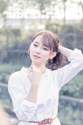 藏海花电视剧免费观看完整版